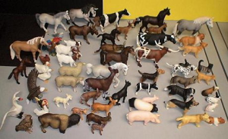 NEC Toy Animal玩偶数据集