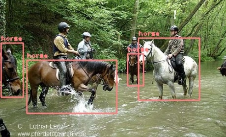 野生动物检测数据集下载