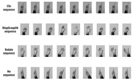 Hand Posture and Gesture
